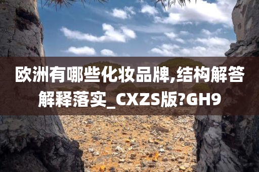 欧洲有哪些化妆品牌,结构解答解释落实_CXZS版?GH9