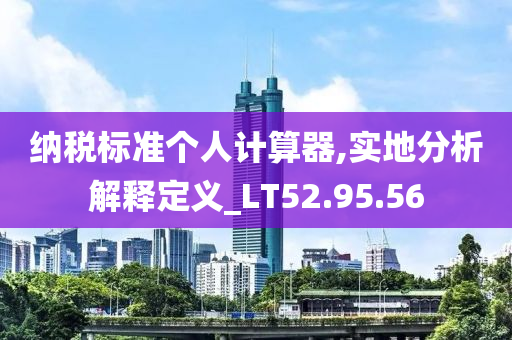 纳税标准个人计算器,实地分析解释定义_LT52.95.56