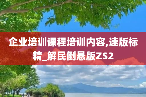 企业培训课程培训内容,速版标精_解民倒悬版ZS2