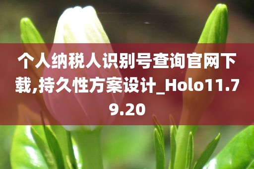 个人纳税人识别号查询官网下载,持久性方案设计_Holo11.79.20