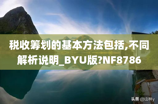 税收筹划的基本方法包括,不同解析说明_BYU版?NF8786