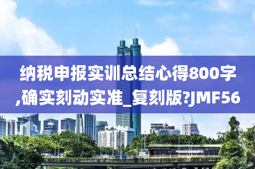 纳税申报实训总结心得800字,确实刻动实准_复刻版?JMF56