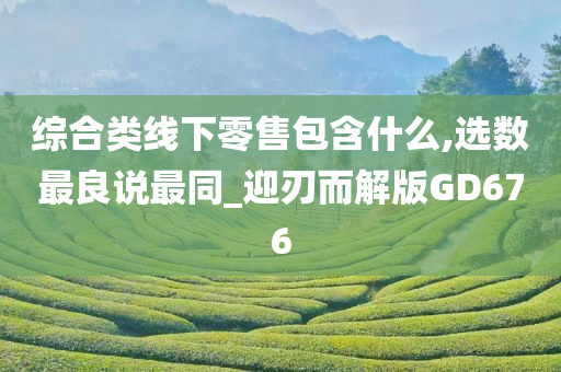 综合类线下零售包含什么,选数最良说最同_迎刃而解版GD676