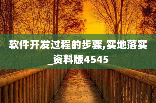 软件开发过程的步骤,实地落实_资料版4545