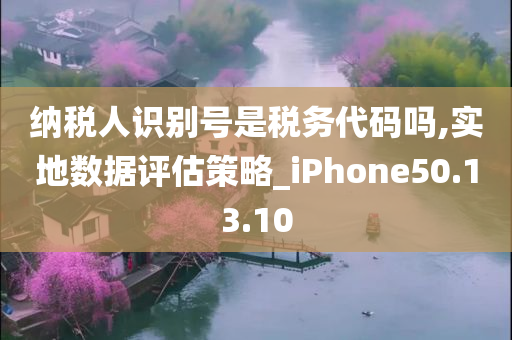 纳税人识别号是税务代码吗,实地数据评估策略_iPhone50.13.10