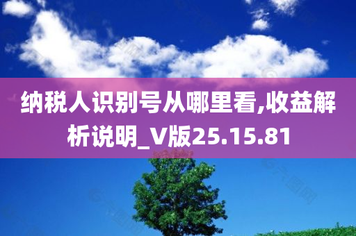 纳税人识别号从哪里看,收益解析说明_V版25.15.81