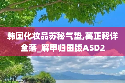 韩国化妆品苏秘气垫,英正释详全落_解甲归田版ASD2