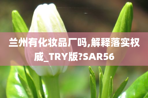 兰州有化妆品厂吗,解释落实权威_TRY版?SAR56