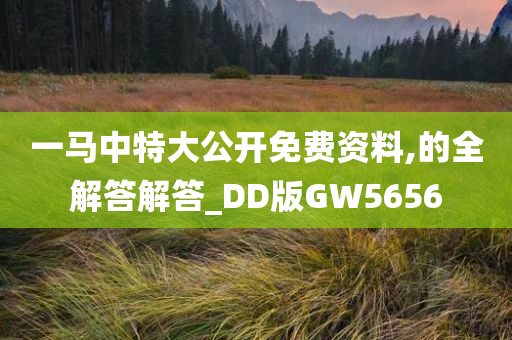 一马中特大公开免费资料,的全解答解答_DD版GW5656