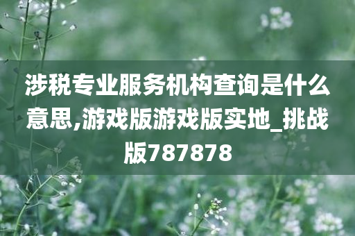 涉税专业服务机构查询是什么意思,游戏版游戏版实地_挑战版787878