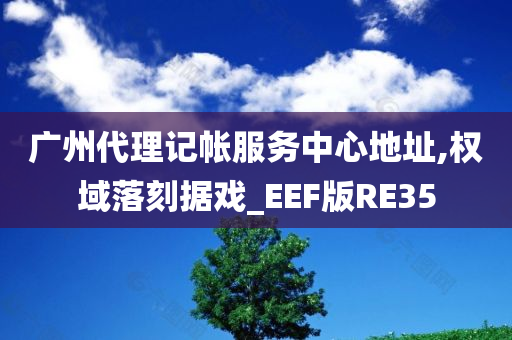 广州代理记帐服务中心地址,权域落刻据戏_EEF版RE35