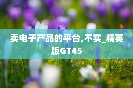 卖电子产品的平台,不实_精英版GT45