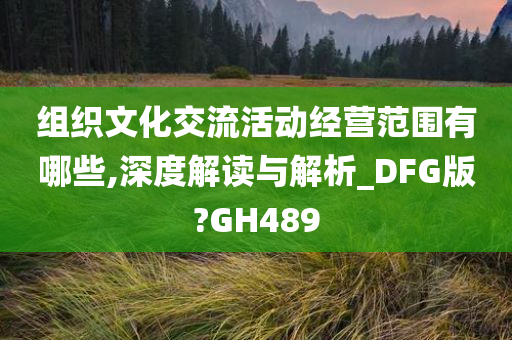 组织文化交流活动经营范围有哪些,深度解读与解析_DFG版?GH489