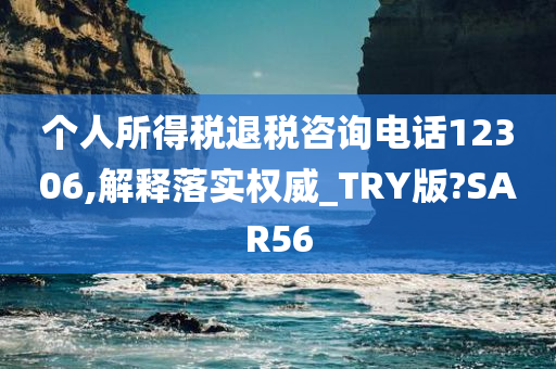 个人所得税退税咨询电话12306,解释落实权威_TRY版?SAR56