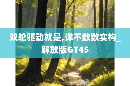 双轮驱动就是,详不数数实构_解放版GT45