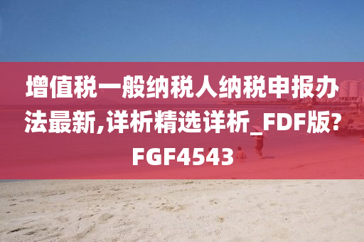 增值税一般纳税人纳税申报办法最新,详析精选详析_FDF版?FGF4543