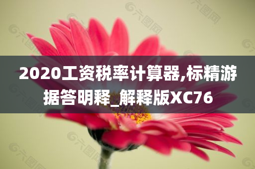 2020工资税率计算器,标精游据答明释_解释版XC76