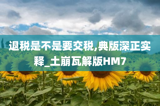 退税是不是要交税,典版深正实释_土崩瓦解版HM7