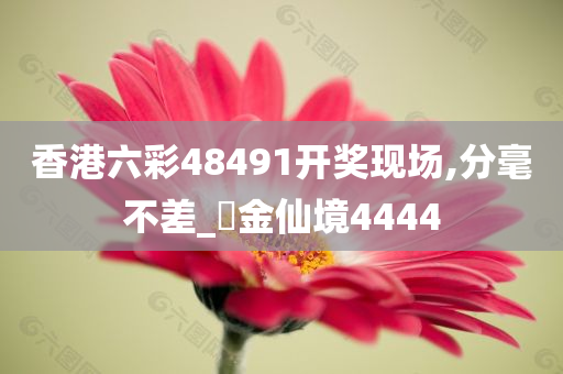 香港六彩48491开奖现场,分毫不差_‌金仙境4444