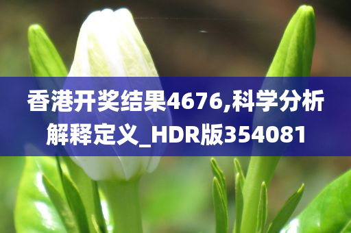 香港开奖结果4676,科学分析解释定义_HDR版354081