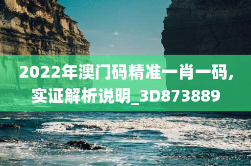 2022年澳门码精准一肖一码,实证解析说明_3D873889