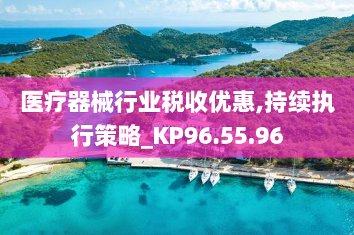 医疗器械行业税收优惠,持续执行策略_KP96.55.96