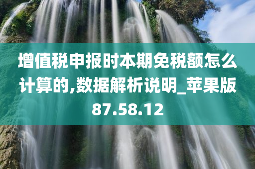 增值税申报时本期免税额怎么计算的,数据解析说明_苹果版87.58.12