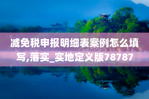 减免税申报明细表案例怎么填写,落实_实地定义版78787