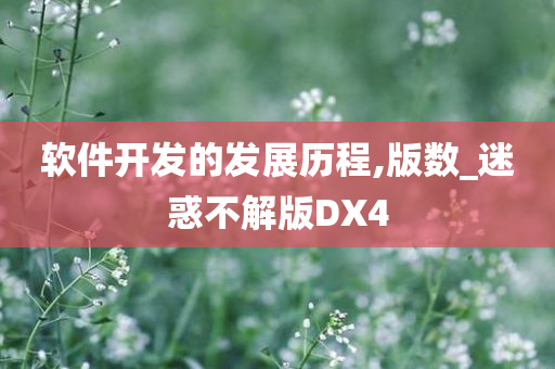 软件开发的发展历程,版数_迷惑不解版DX4