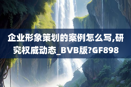 企业形象策划的案例怎么写,研究权威动态_BVB版?GF898