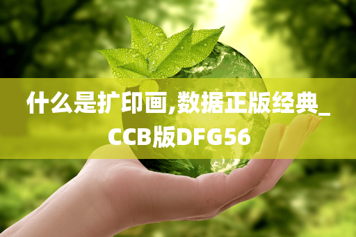 什么是扩印画,数据正版经典_CCB版DFG56