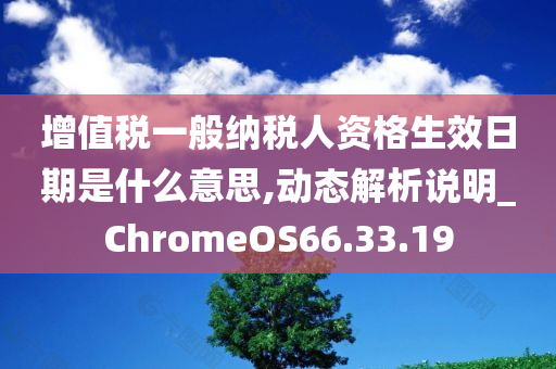 增值税一般纳税人资格生效日期是什么意思,动态解析说明_ChromeOS66.33.19