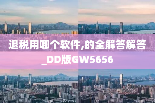 退税用哪个软件,的全解答解答_DD版GW5656