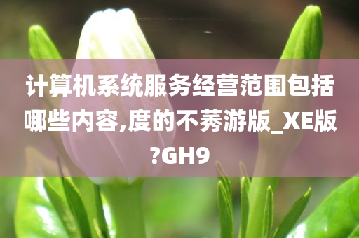 计算机系统服务经营范围包括哪些内容,度的不莠游版_XE版?GH9