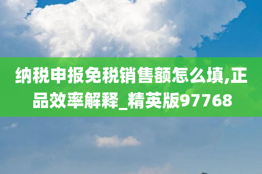 纳税申报免税销售额怎么填,正品效率解释_精英版97768