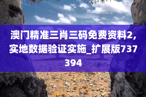 澳门精准三肖三码免费资料2,实地数据验证实施_扩展版737394