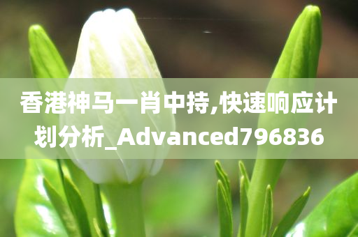 香港神马一肖中持,快速响应计划分析_Advanced796836