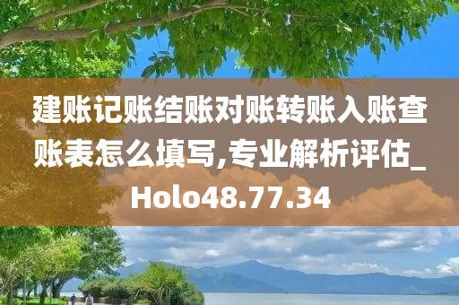 建账记账结账对账转账入账查账表怎么填写,专业解析评估_Holo48.77.34