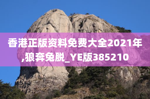 香港正版资料免费大全2021年,狼奔兔脱_YE版385210