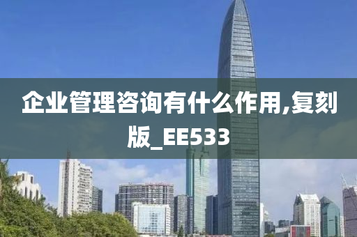 企业管理咨询有什么作用,复刻版_EE533