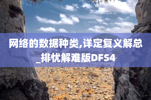 网络的数据种类,详定复义解总_排忧解难版DFS4