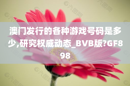 澳门发行的各种游戏号码是多少,研究权威动态_BVB版?GF898