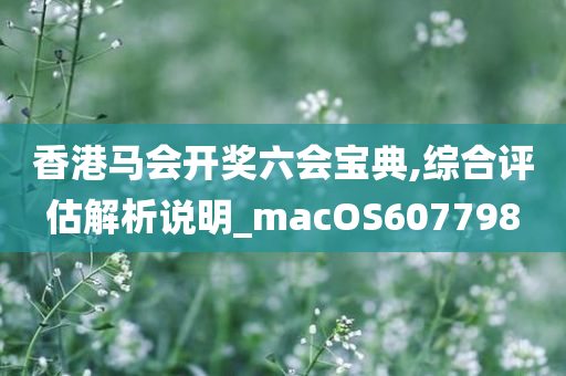 香港马会开奖六会宝典,综合评估解析说明_macOS607798