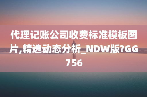 代理记账公司收费标准模板图片,精选动态分析_NDW版?GG756