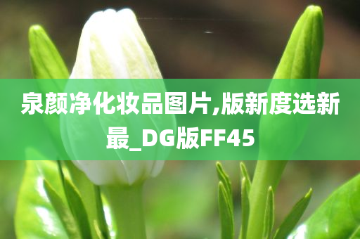 泉颜净化妆品图片,版新度选新最_DG版FF45