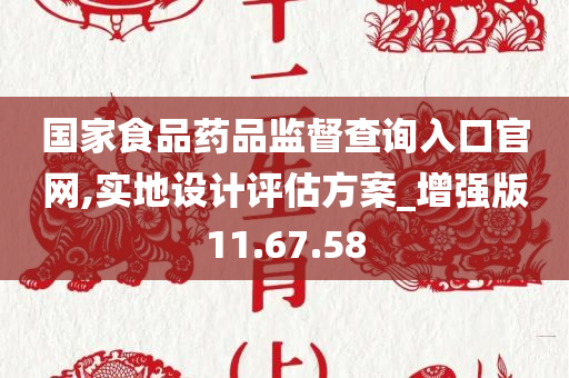 国家食品药品监督查询入口官网,实地设计评估方案_增强版11.67.58