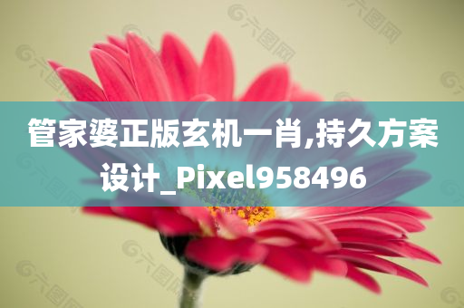 管家婆正版玄机一肖,持久方案设计_Pixel958496