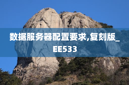 数据服务器配置要求,复刻版_EE533