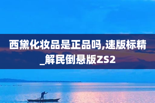 西黛化妆品是正品吗,速版标精_解民倒悬版ZS2