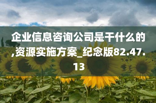 企业信息咨询公司是干什么的,资源实施方案_纪念版82.47.13